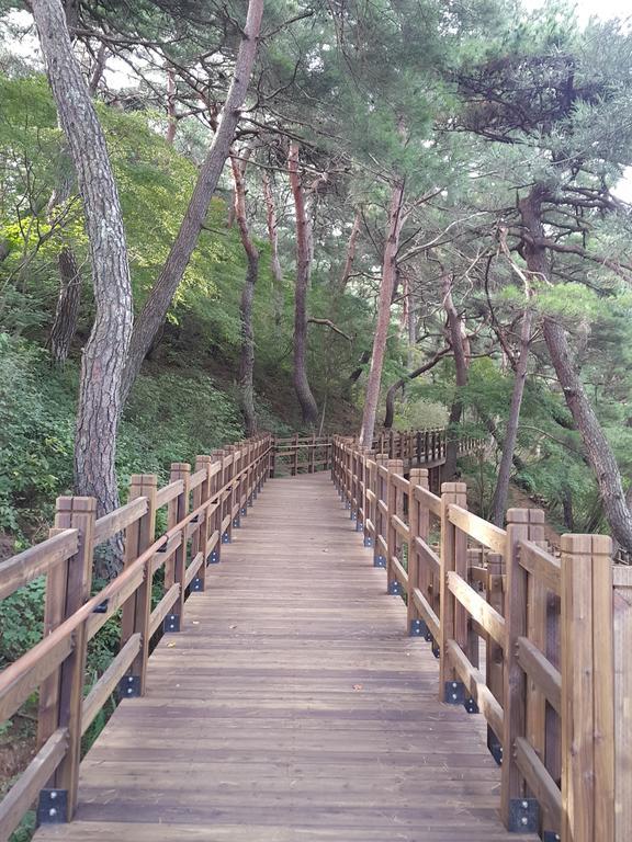 Pyeongchang River House Luaran gambar