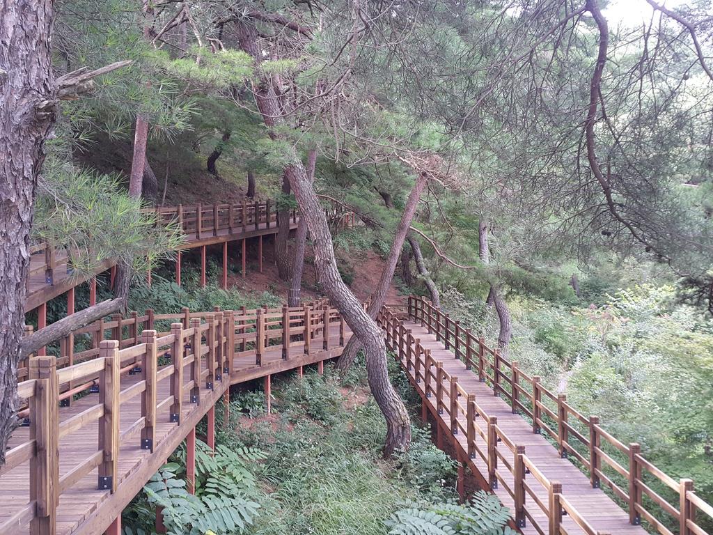 Pyeongchang River House Luaran gambar
