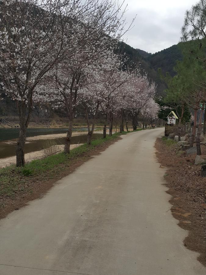 Pyeongchang River House Luaran gambar